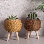 AristoBloom Vaso da Piante Sollevato | Vaso Scandinavo Minimalista Premium per Spazi Compatti